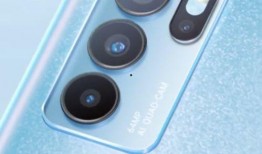 柯基最新爆料视频大全下载,萌宠瞬间，笑料横生